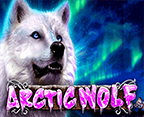 Arctic Wolf